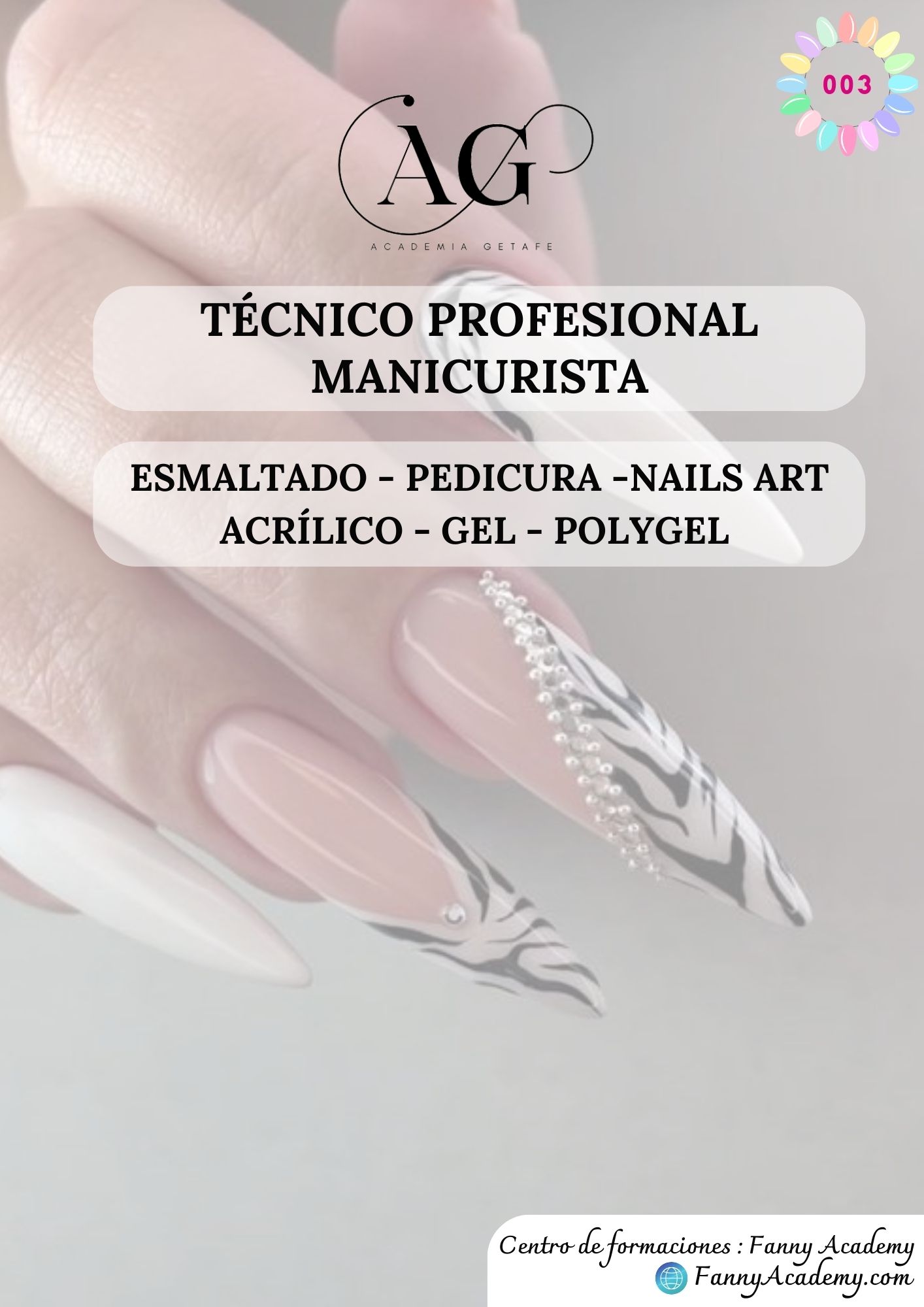 M Ster Profesional De T Cnico Manicurista Completo Horas